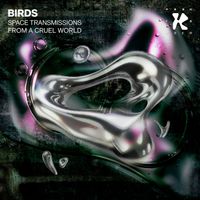 Birds - Space Transmissions From A Cruel World
