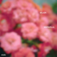 EVÍC - MUJER MARAVILLA