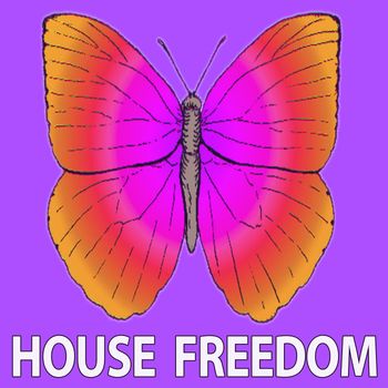 Rousing House - Nightfall