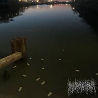 INDIGO - Reflections (Explicit)