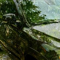 REPHASE - Instinct (Explicit)