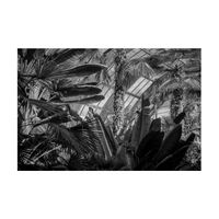 Crossover Network - Hedonic Adaption