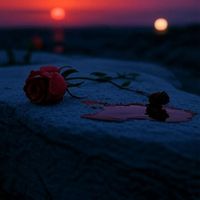 Ironic - why did you...?