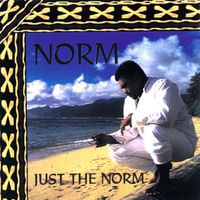 Norm - Just The Norm