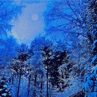 Hemiboreal - Hemiboreal (The Forest Is Home)