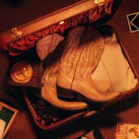 Leroy Sanchez - boots