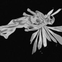 Dizzy Spins - Tomorrowman (Deluxe)