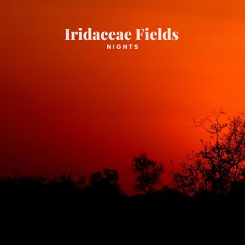 Iridaceae Fields - Nights