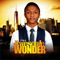 PNA - Awesome Wonder