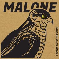 Malone - A Spark out in the Dark