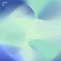 Saah - fly