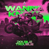 Double Trouble - Wanna Know (Extended Mix)