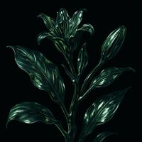 Main Leaf - Belinach