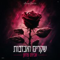 אבירם פרחן - שקרים ואכזבות
