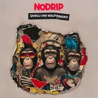 NoDRIP - Quelli che malpensano