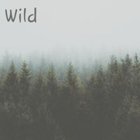 Guillermo - Wild