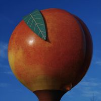 Shagg - Peach - EP