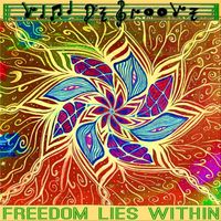 Vini De Groove - Freedom Lies Within Remixed