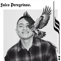 Bendito - Falco Peregrinus (Explicit)