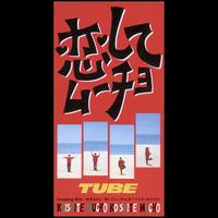 TUBE - Sukinanoni