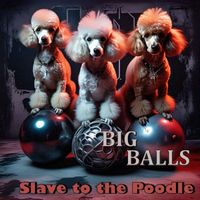 Slave to the Poodle - Big Balls
