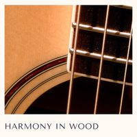 Acoustic Guitar - Harmony in Wood