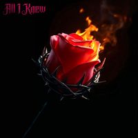 SLWMO - All I Knew