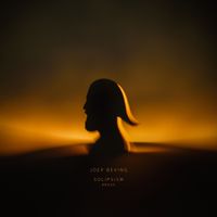 Joep Beving - Sleeping Lotus (redux)