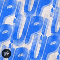 Fickle Friends - UP!