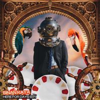 Sinan Kaya - Here For Days