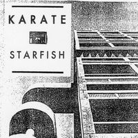 Karate - Starfish
