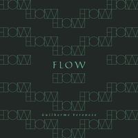 Guilherme Veroneze - Flow