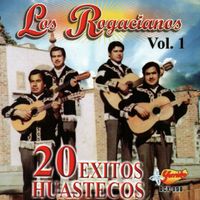 Los rogacianos - 20 Exitos Huastecos  Vol. 1