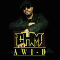 GHM - Awi-D