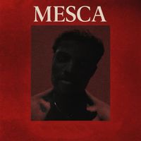 Mesca - Scars&Bruises