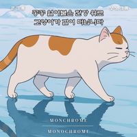 Monochrome - 꽁꽁 얼어붙은 한강 위로 고양이가 걸어 다닙니다