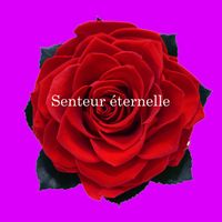 Alain Daigneault - Senteur éternelle
