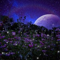 elysian - Indigo Moon