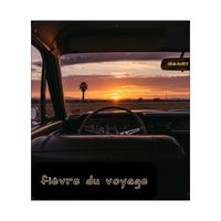 INSAINT - fièvre du voyage
