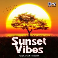 Nadeem-Shravan - Sunset Vibes