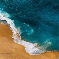 The Opus - The Ocean (Coast to Coast Mix) (Explicit)