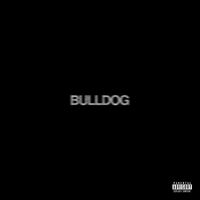 Mikie - Bulldog (Explicit)