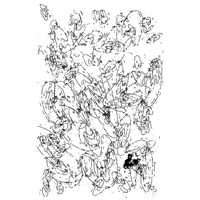Sontag Shogun - Scribbling Transience