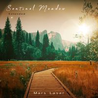 Mars Lasar - Sentinel Meadow (Extended)