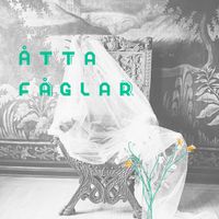 Baron - Åtta fåglar