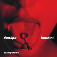 Dua Lipa - Houdini (Adam Port Mix) [Extended]