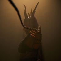 MAREF - Animal Raro
