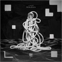 X_HAAAR - Resiliencia