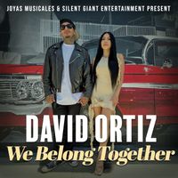 David Ortiz - We Belong Together
