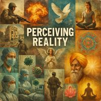 INSAINT - percieving reality